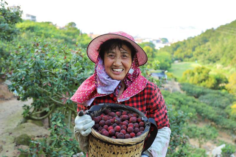 文旅融合美好生活         第九屆楊梅文化節開幕