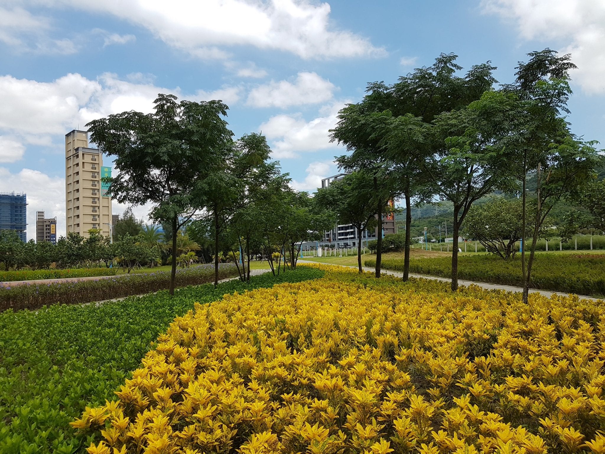 彩色植栽受讚嘆      新北公園換裝好愜意