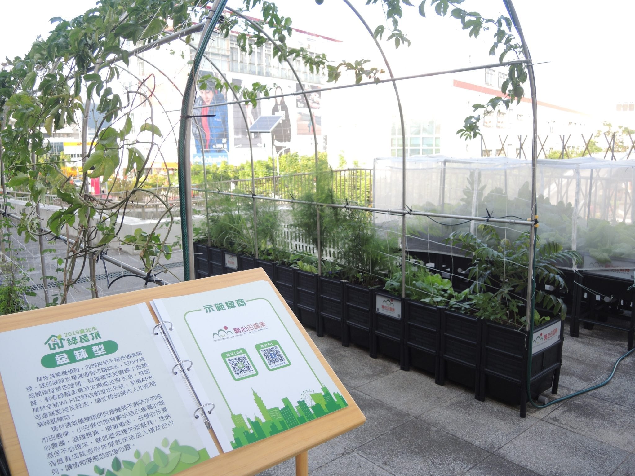 臺北市綠屋頂主題示範區     打造綠手指的療育生活