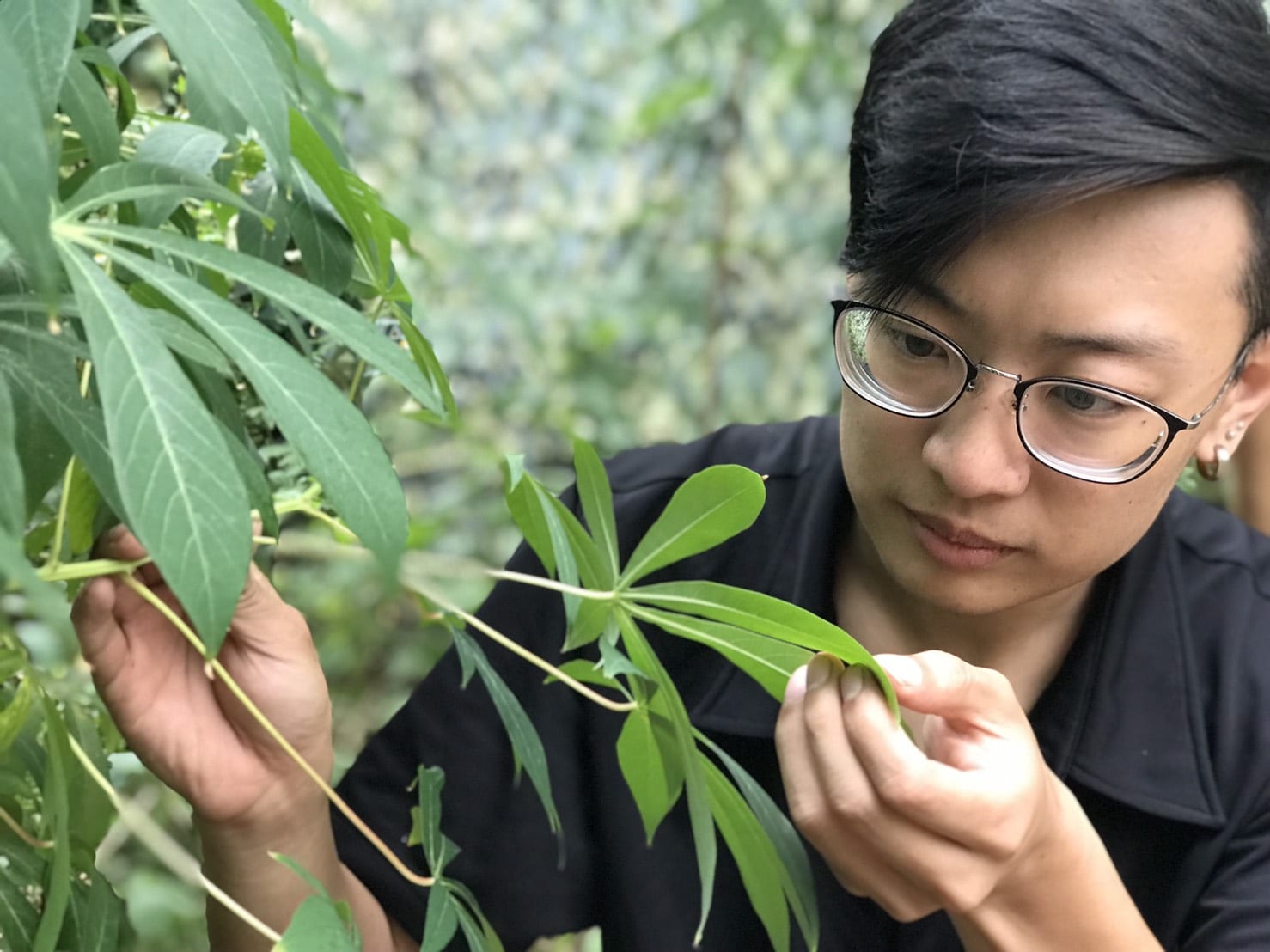 八年級的熱血    生態人的堅持     沈仲為彎腰的力量    傳遞自然無限可能