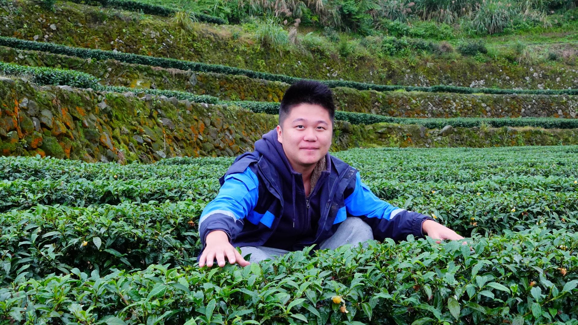 英雄出少年     新北冬季茶王出爐
