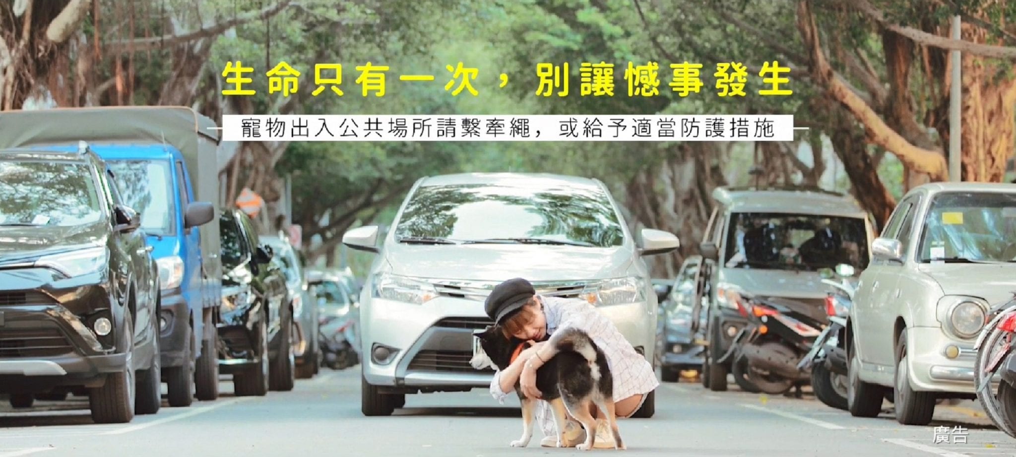 帶毛孩出門多留意     握緊牽繩守護安全