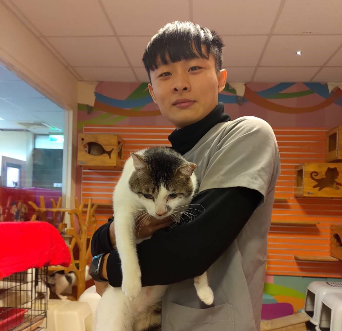 喵起來認養會     41隻貓咪尋找認養人