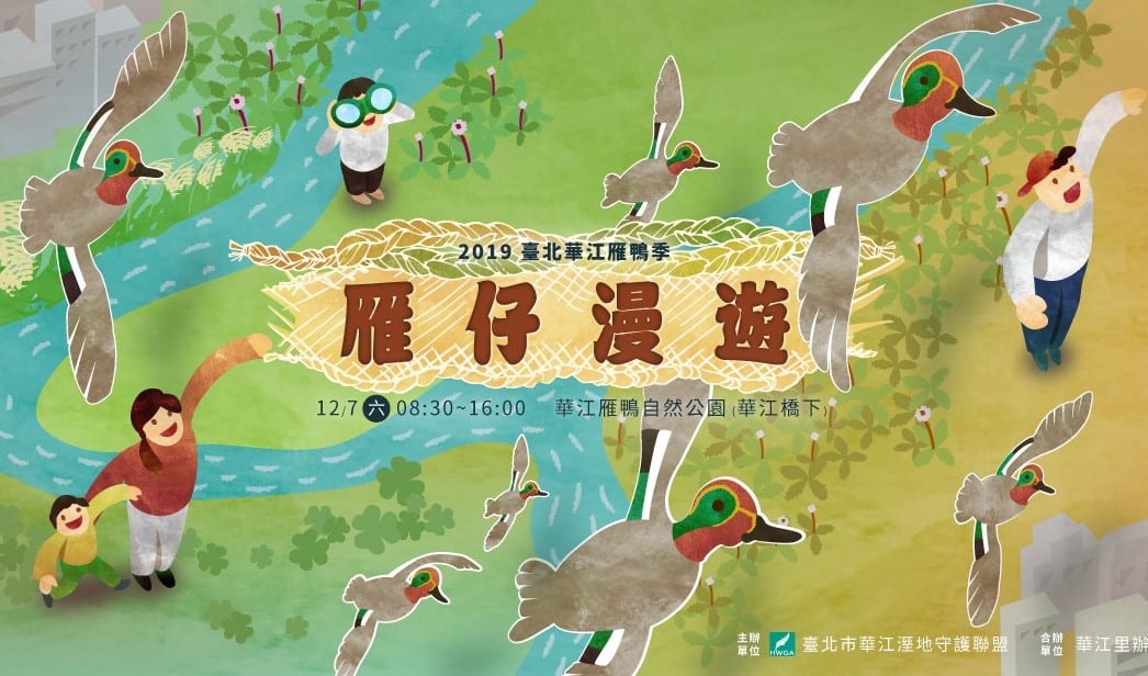 2019臺北華江雁鴨季     體驗城市濕地之美