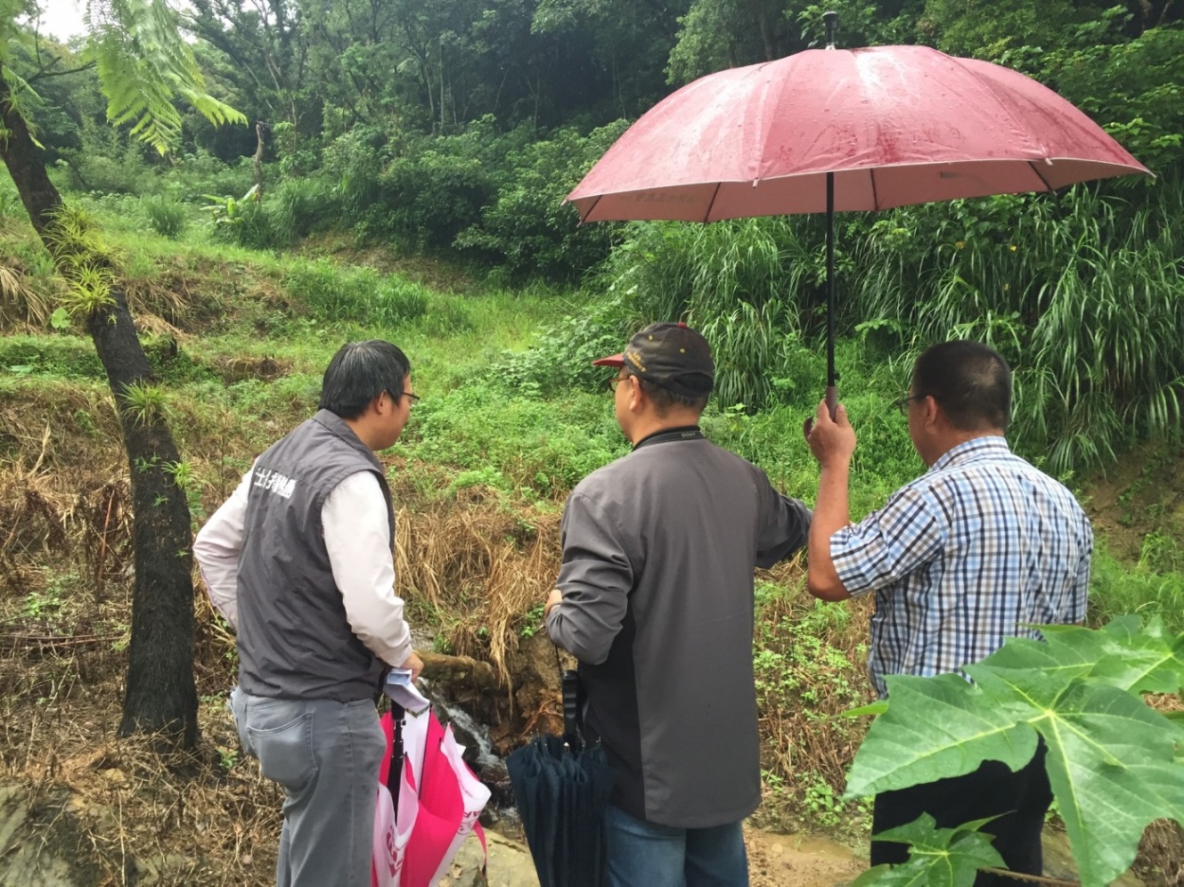 山坡地違規取締    新北鼠年春節不打烊