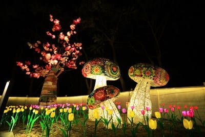 客家婦女2個月編上百朵櫻花    台灣燈會「綺麗花都」展風情