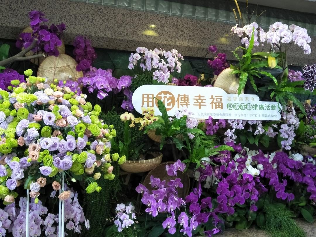 時令花卉美化家居 國產鮮花花材組合包半價賣