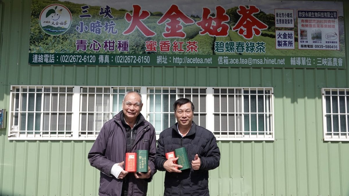 呷茶兼保育 里長伯提昇火金姑茶價值