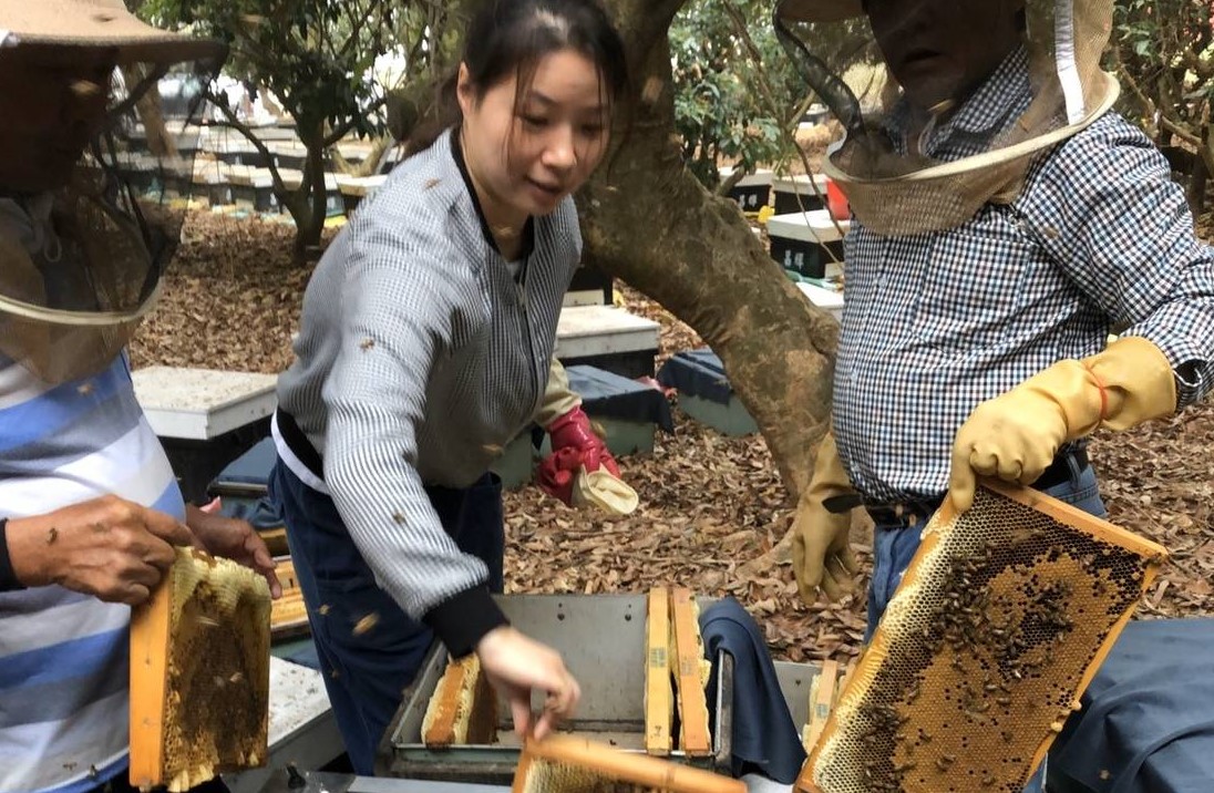 新住民「農」甜蜜意   女力青農養出頭等蜜