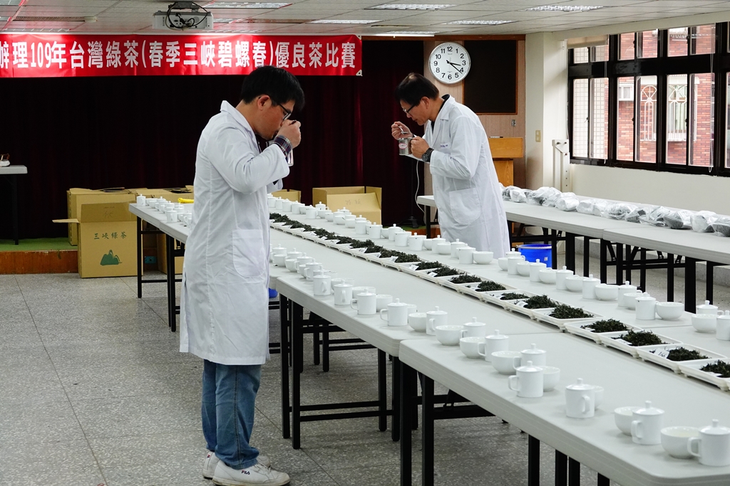 全臺首場春茶評鑑出爐   碧螺春搶鮮喝