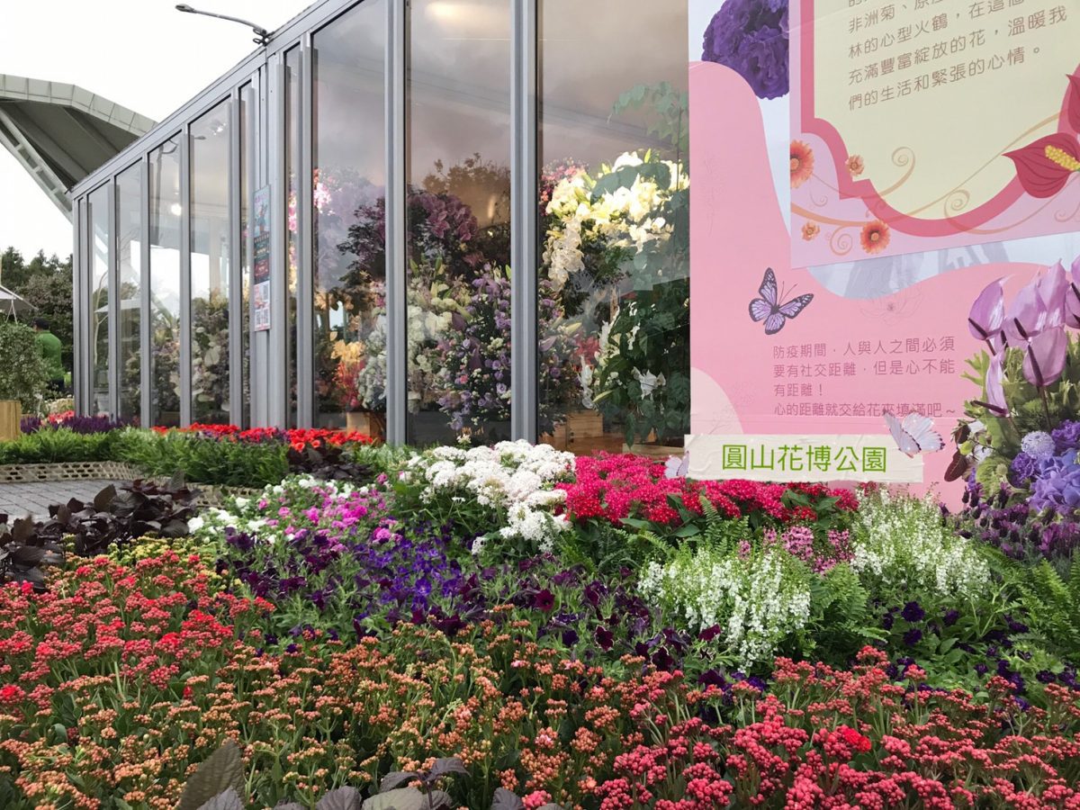 臺北市花卉櫥窗玻璃屋傳遞幸福能量  花型各展風格