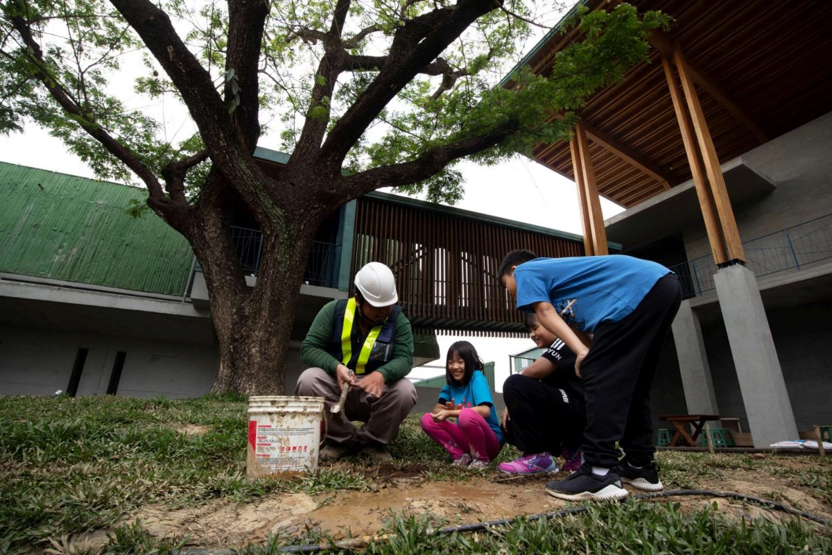 鎮園之寶雨豆樹染病求樹醫　師生學習生命教育的意義