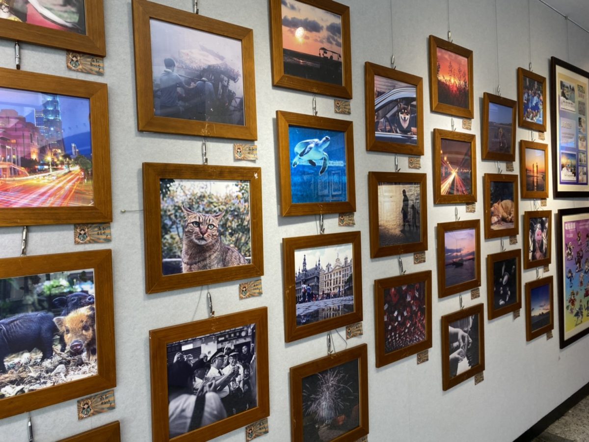 「設繪人」細緻觀察   振聲畢業展傳達新鮮人的多元創作力