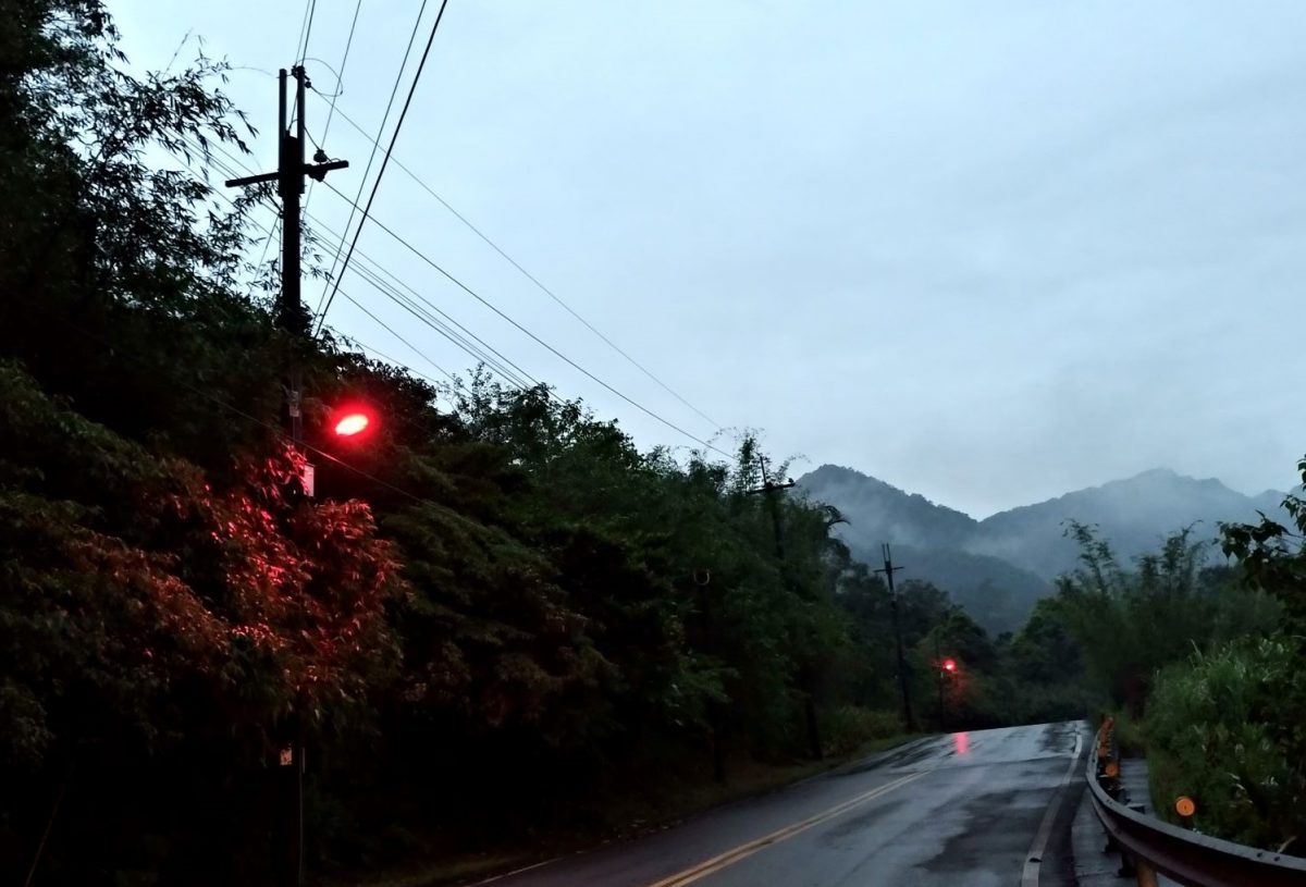 紅色玻璃紙包路燈   友善環境螢火蟲再現