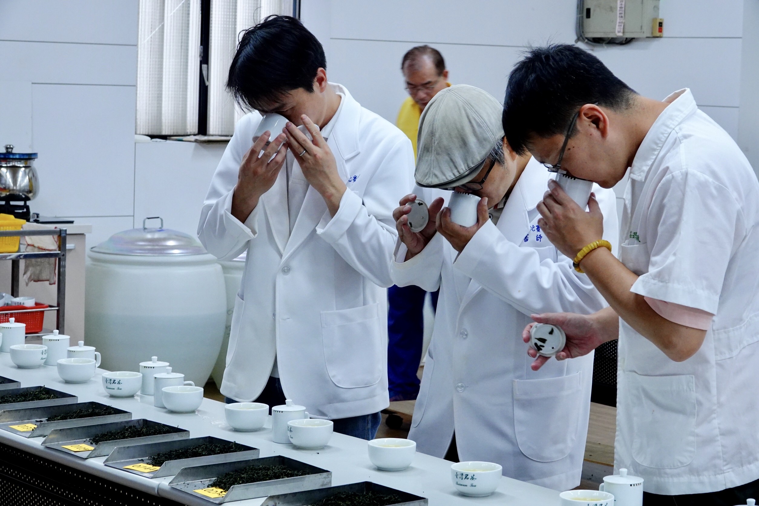首度實況轉播   北臺灣最大茶評鑑   新北茶王誕生