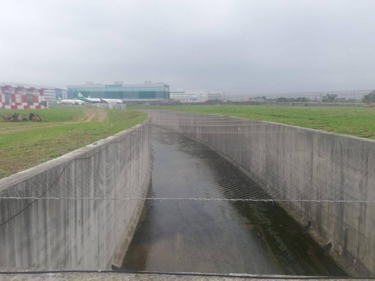 鳥兒不要來！ 桃園國際機場鳥擊防制作業