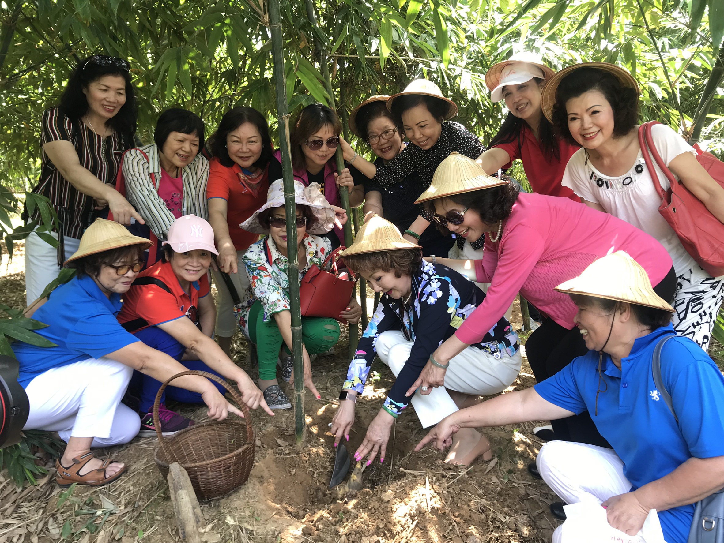 觀音山竹筍季至   體驗綠竹筍與生態的魅力