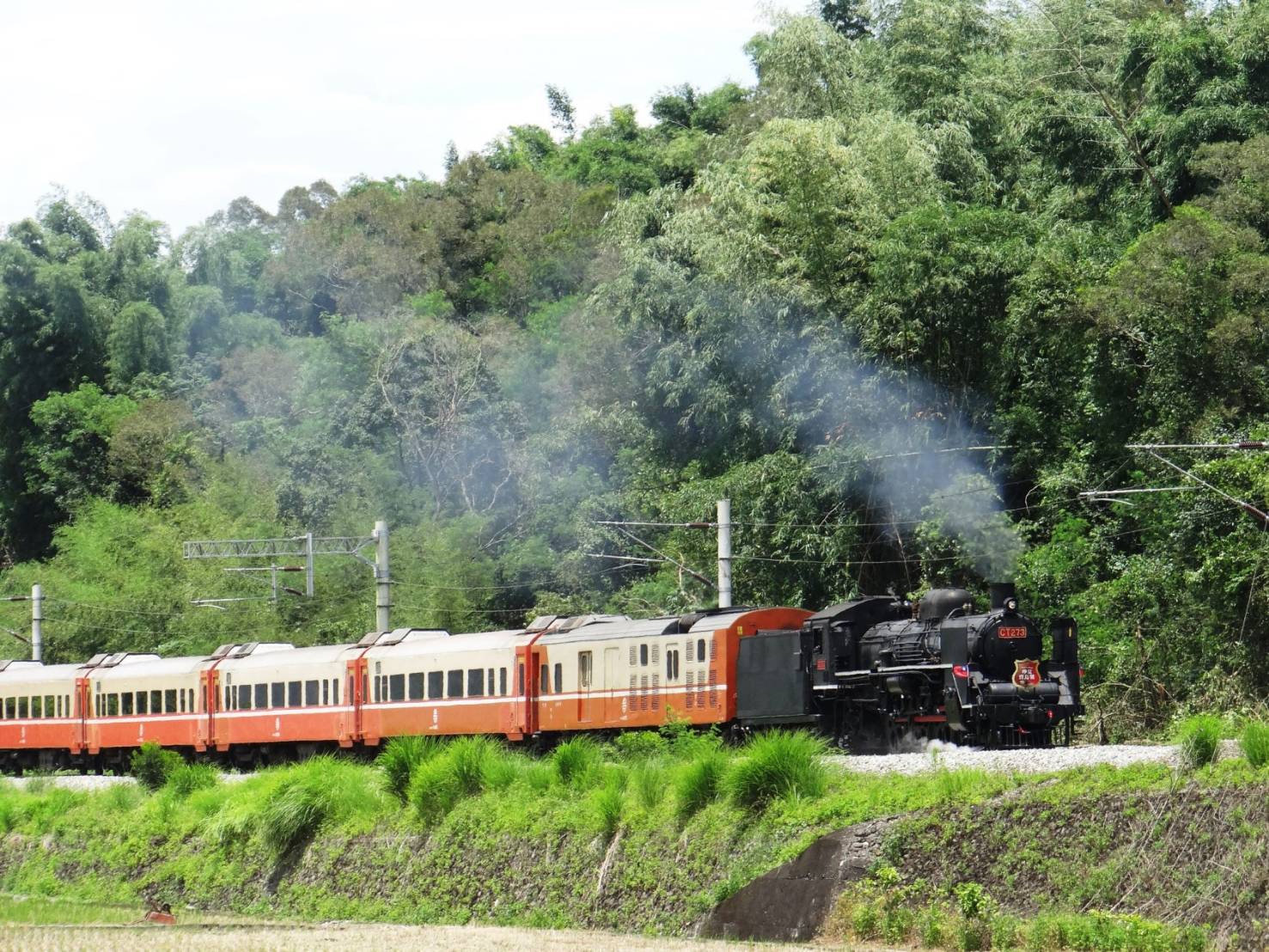 2020暑期鐵道旅遊首發   仲夏寶島號蒸汽火車619開賣