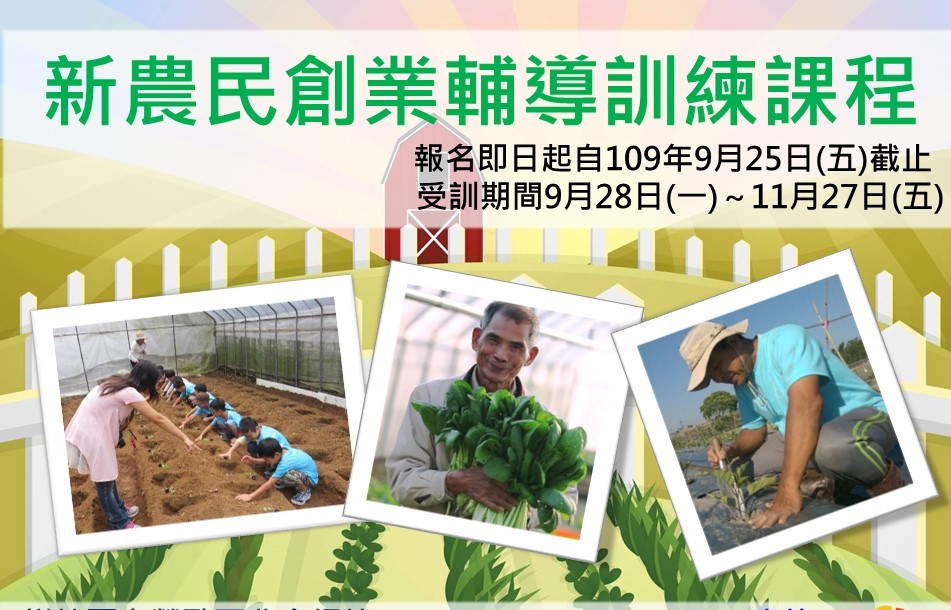 愛心栽植一嚐豐收喜悅  鶯歌區「希望米」開賣啦！