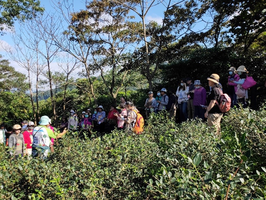 社區園圃×都市農村觀摩研習   相約貓空找茶趣