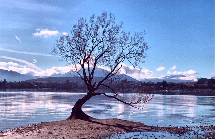 紐西蘭人的後花園-Lake Wanaka