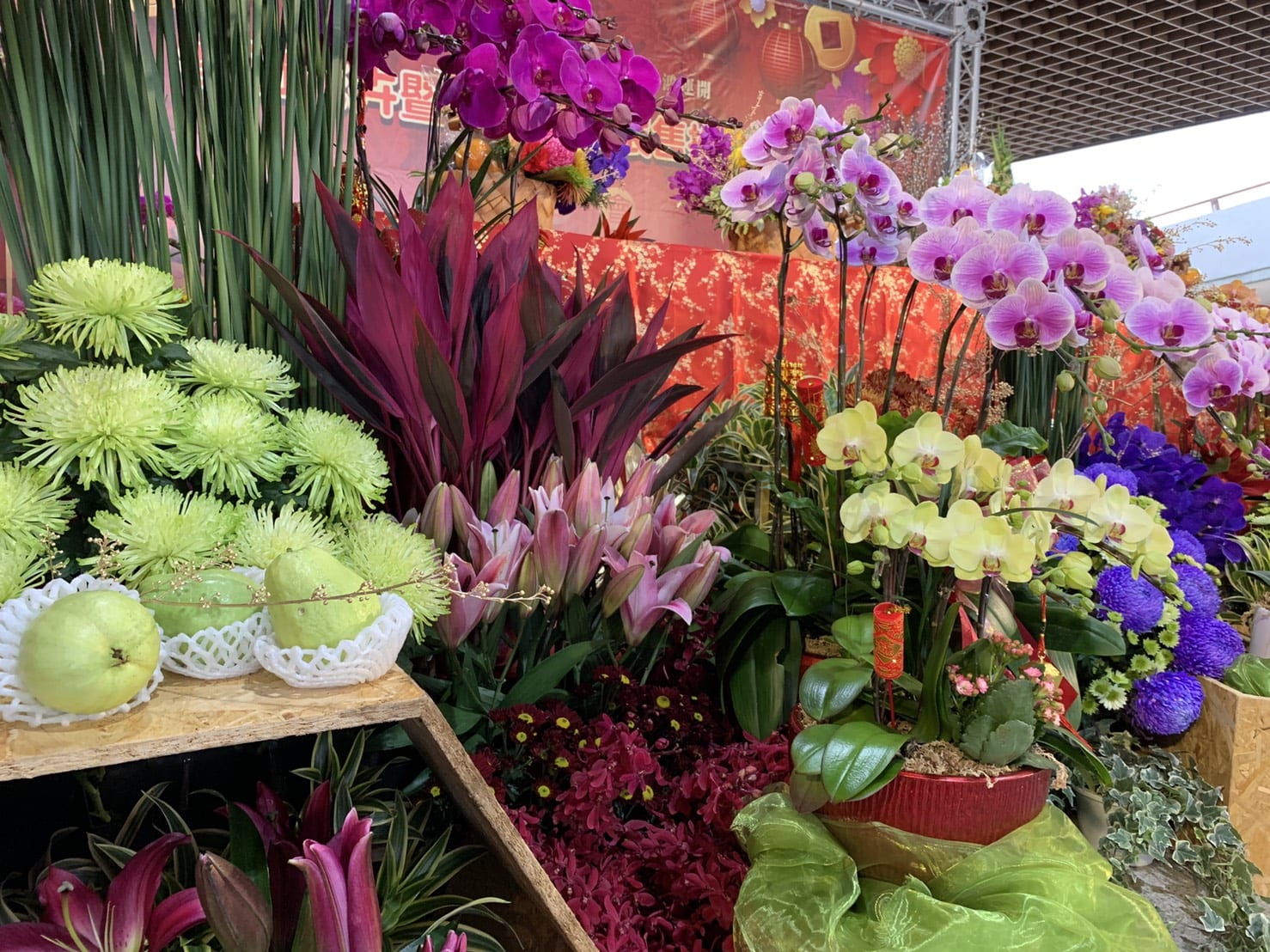 牛轉乾坤 花開似錦  台北花市春節檔期開跑