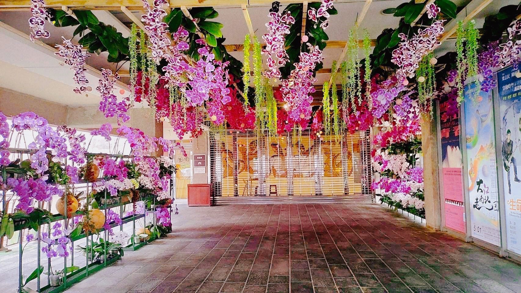 臺南文化中心「花影‧花藝」  幸福蘭圖遍地開花