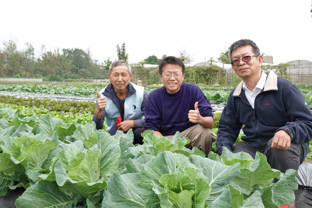 春天囡仔面   吃有機蔬菜顧健康