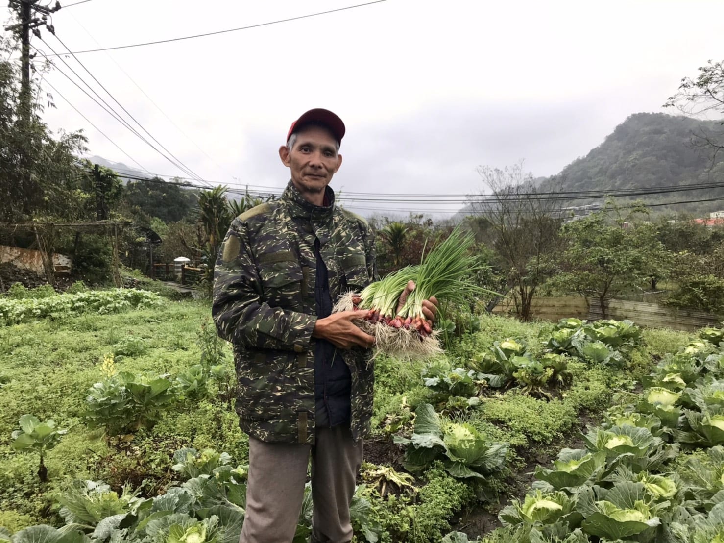 平溪蔥滿愛   幸福好味道   小旅行報名中