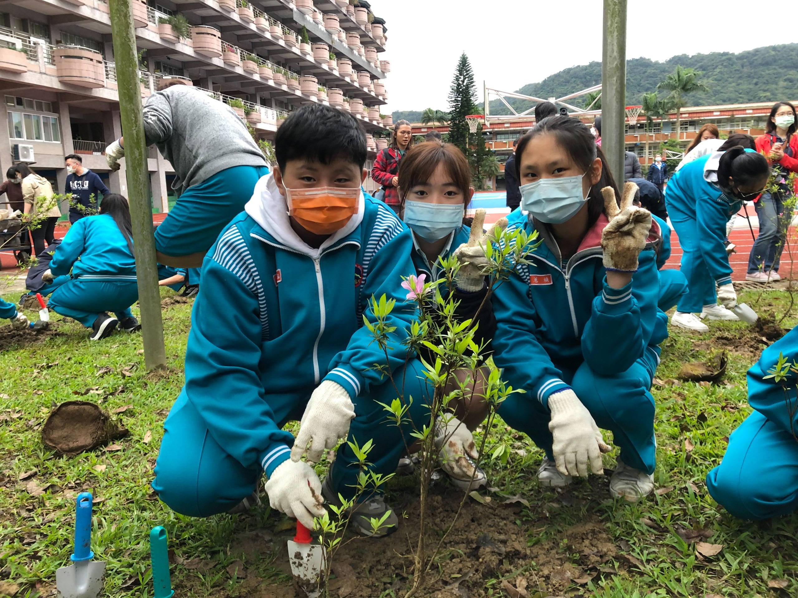 響應世界野生動植物日  烏來杜鵑基因多樣性保育從你我開始