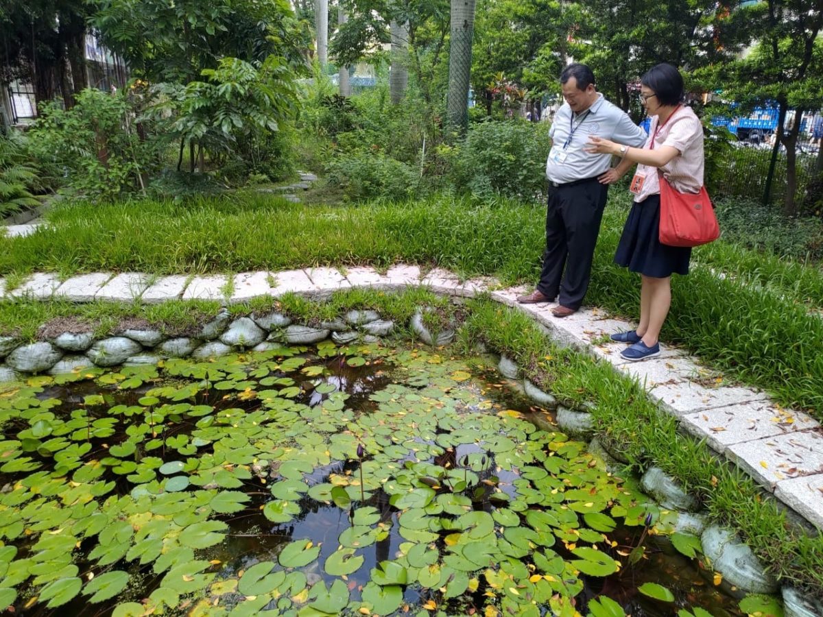 海洋資源復育園區復育蓋斑鬥魚  解決惱人蚊最有效