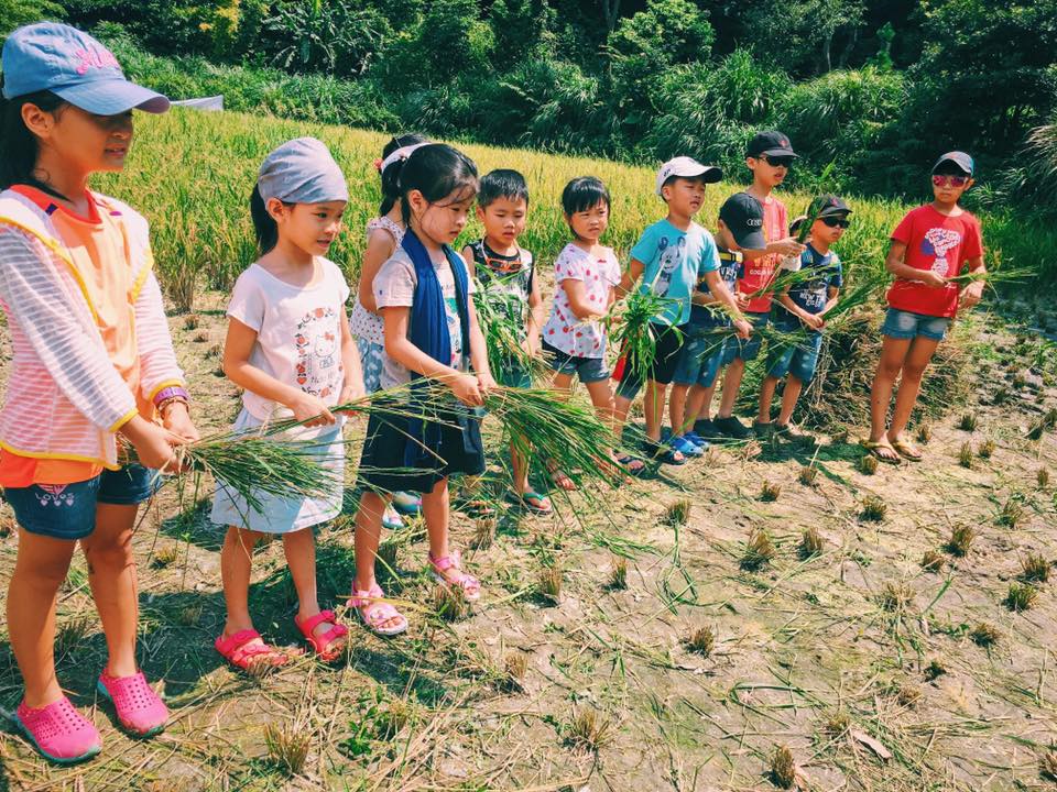 四月體驗季節性農事  石門嵩山插秧推廣食農教育