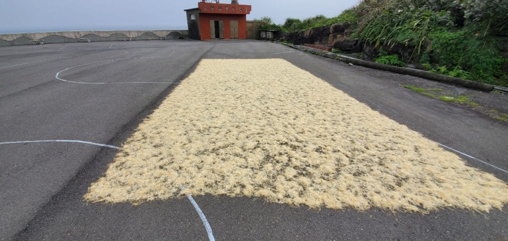經過七泡七曬繁雜程序變成象牙白的石花菜。(圖/新北市漁業處提供)