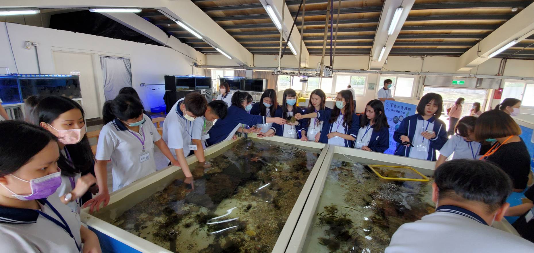 預約海洋教育體驗課程   與海洋生物零距離