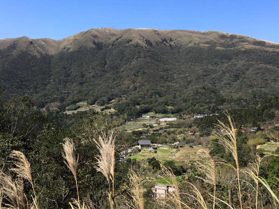 竹子湖於 2019 年成為臺北市第三個休閒農業區。 (圖/臺北市政府產業局提供)