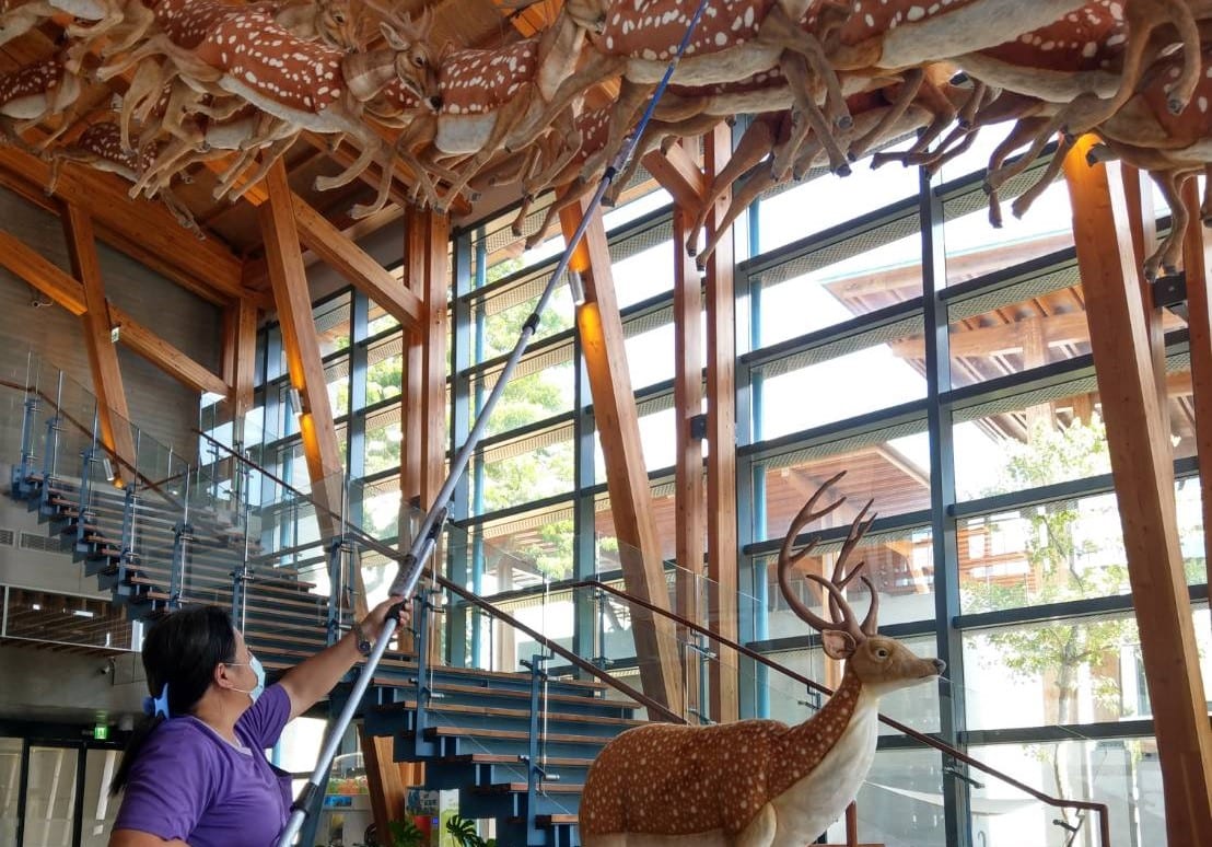 左鎮化石園區閉園補能   館舍整備再出發