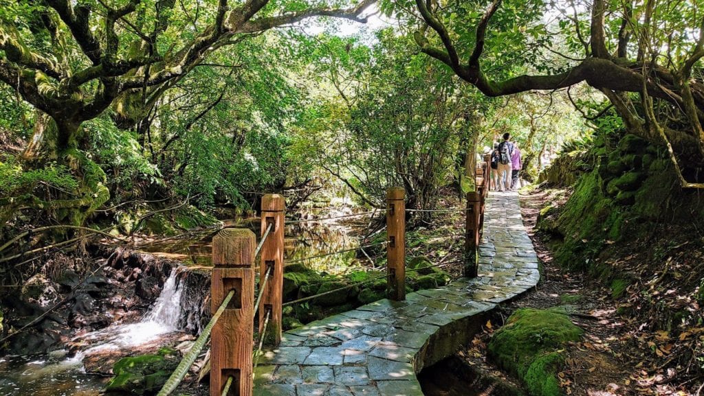 竹子湖擁有優美的自然景色及生態文化。 (圖/臺北市政府產業局提供)