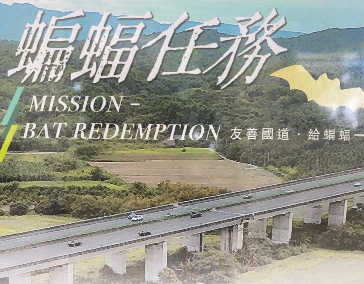 工程兼顧生態  高公局《蝙蝠任務》獲第54屆休士頓國際影展金獎