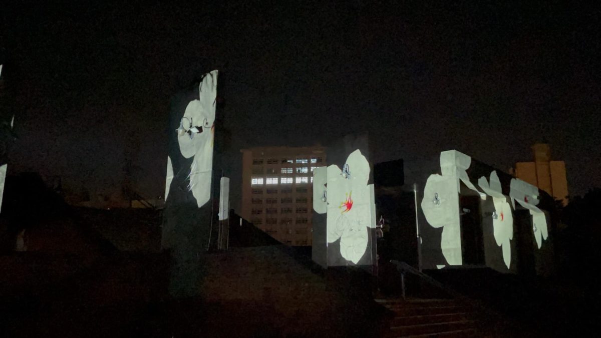 竹縣客家桐花祭光雕秀7/16線上首播  民眾宅在家賞花還可抽好禮