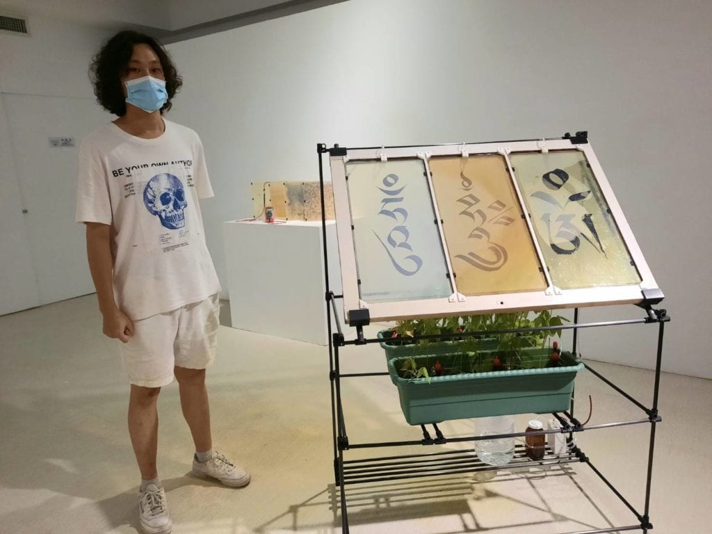施惟捷作品《溫室之心》106cm*57cm*146cm。碳纖維、3D列印材、二氧化鈦、黑枸杞、黑豆、薯榔、FTO導電玻璃、老窗木框、黑豆苗、雙輸出幫浦、碘電解液、石墨烯粉末。2021。(圖/郎亞玲攝)
