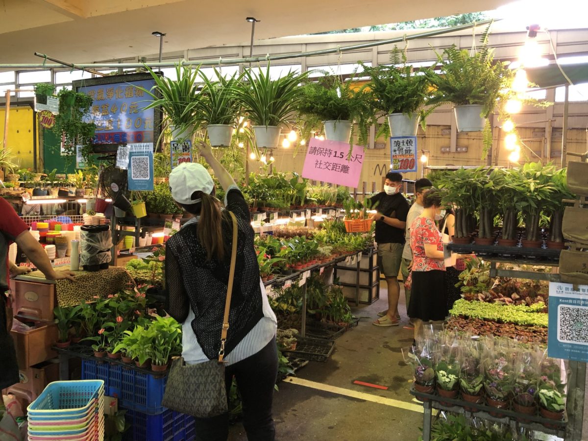 建國假日花市今恢復營業   民眾採買秩序良好