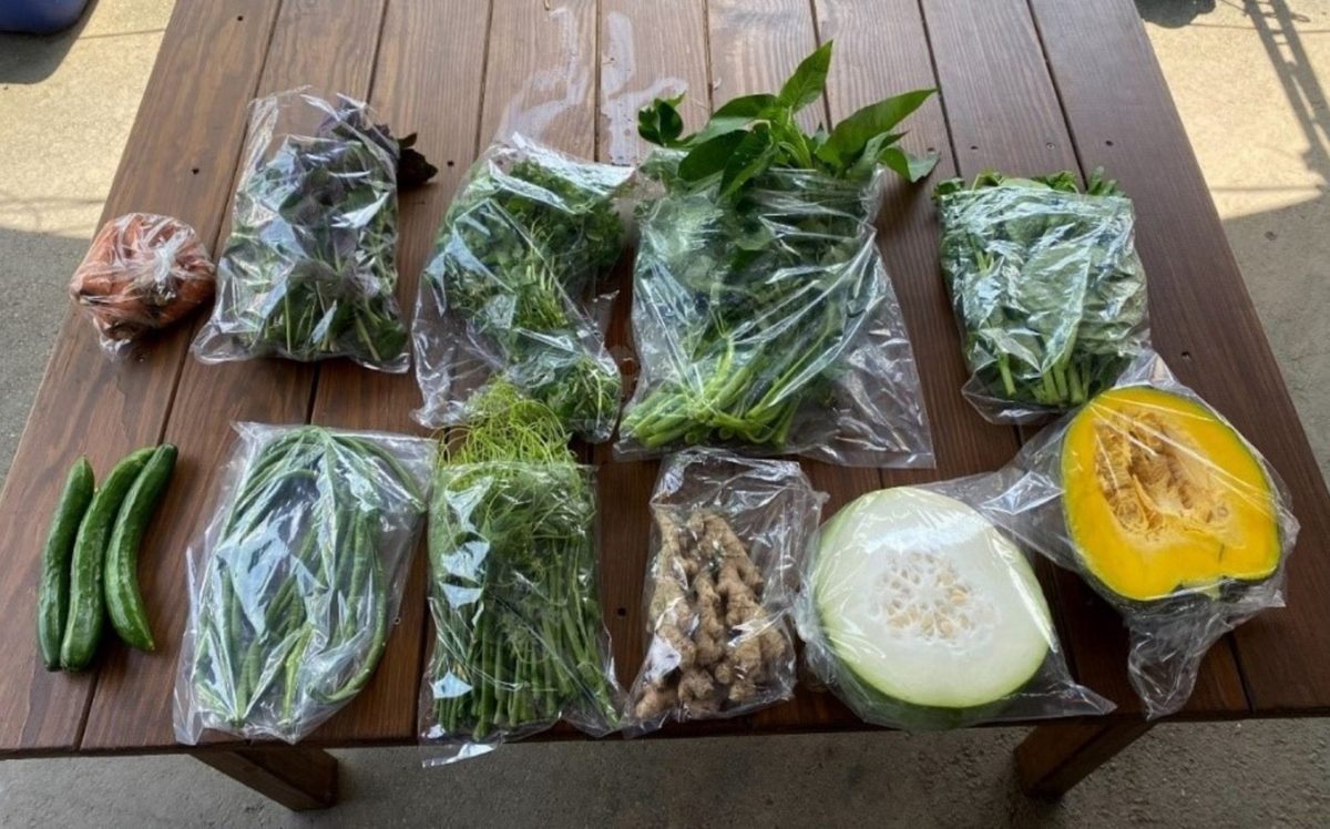 蒔茶油、在地蔬菜營養高   防疫在家輕鬆做安心料理