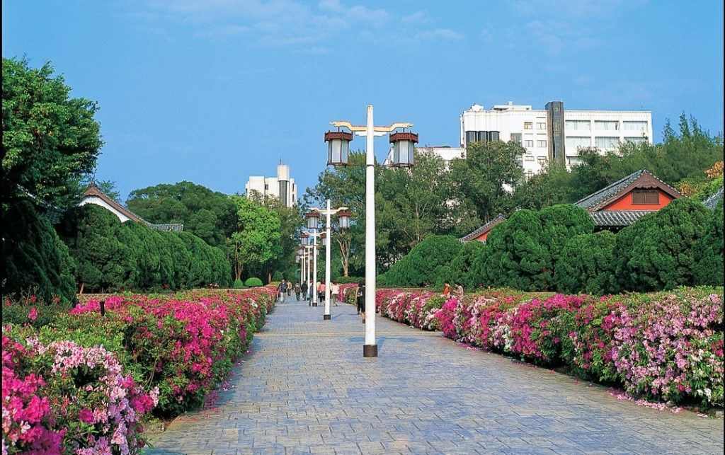 淡江大學優美的校園景觀，處處花團錦簇般的讓人身心暢快與充滿精氣神雅致。（圖/淡江大學 提供）