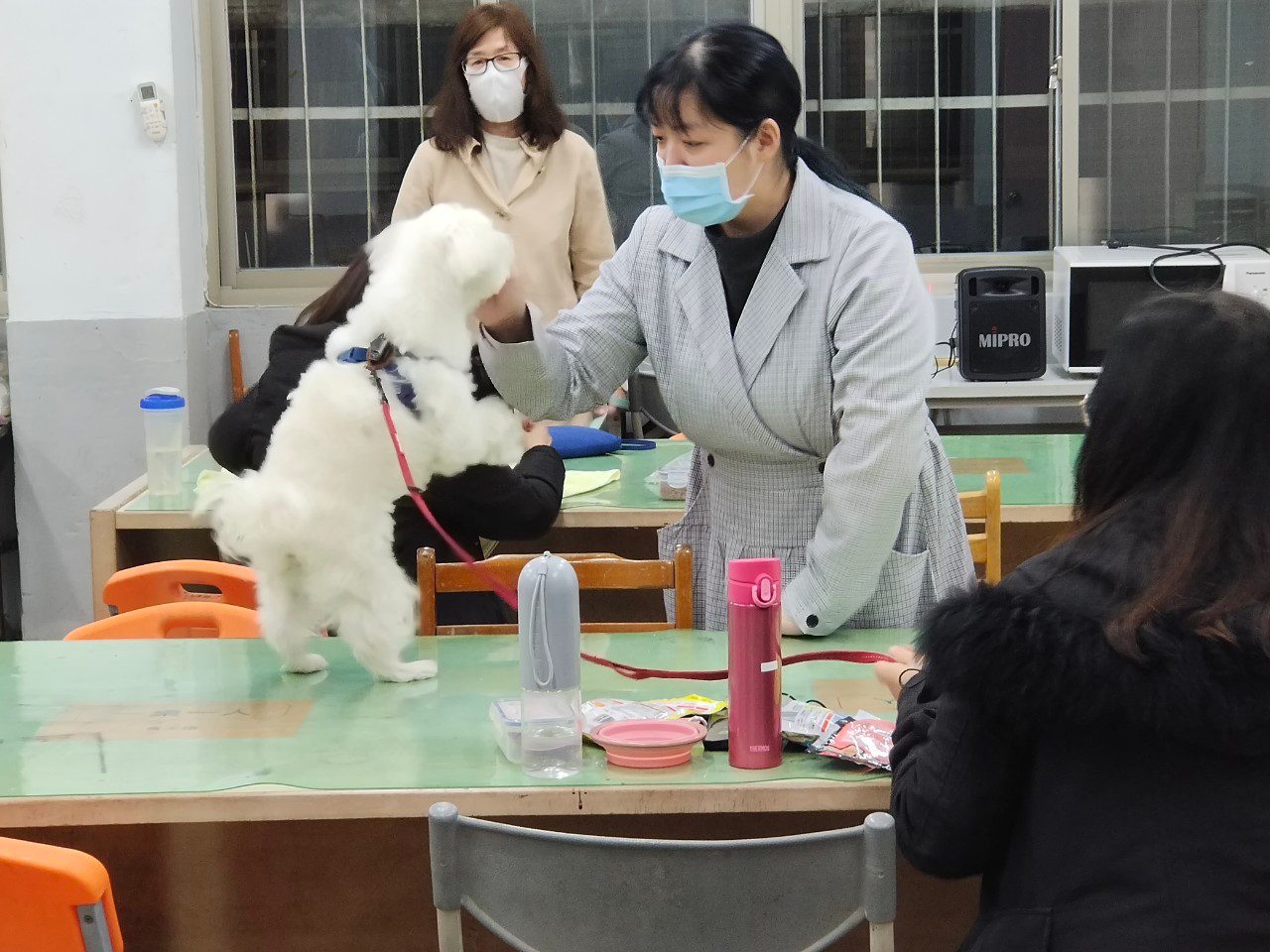 臺北市貓犬學校秋季班開課   限量6門免費課程