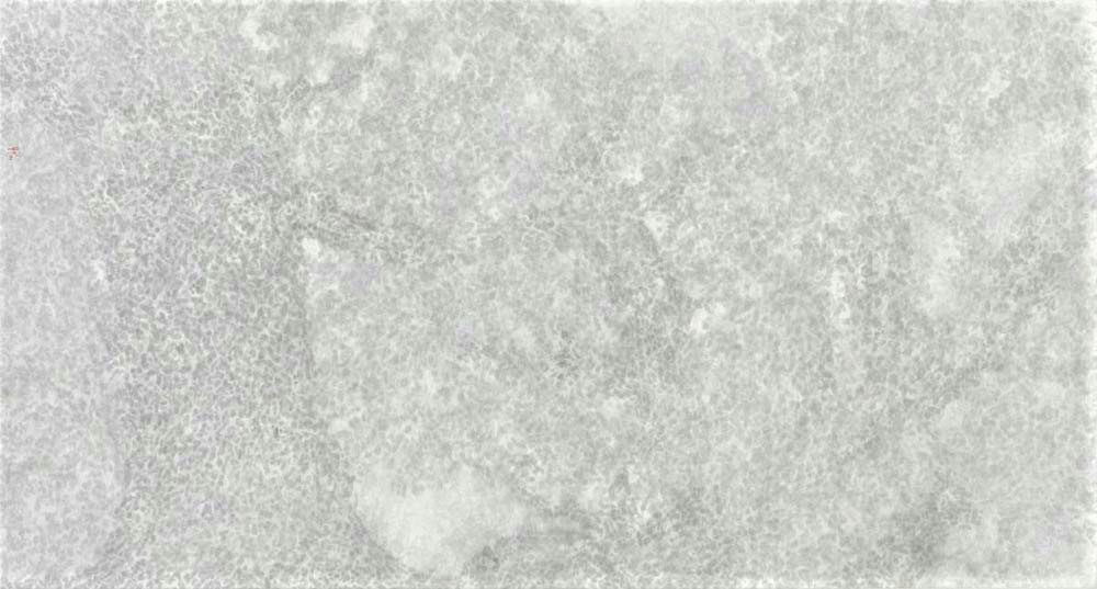 柯偉國，松白，水墨紙本，96.5×179.5cm，2018（圖/藝術家提供）