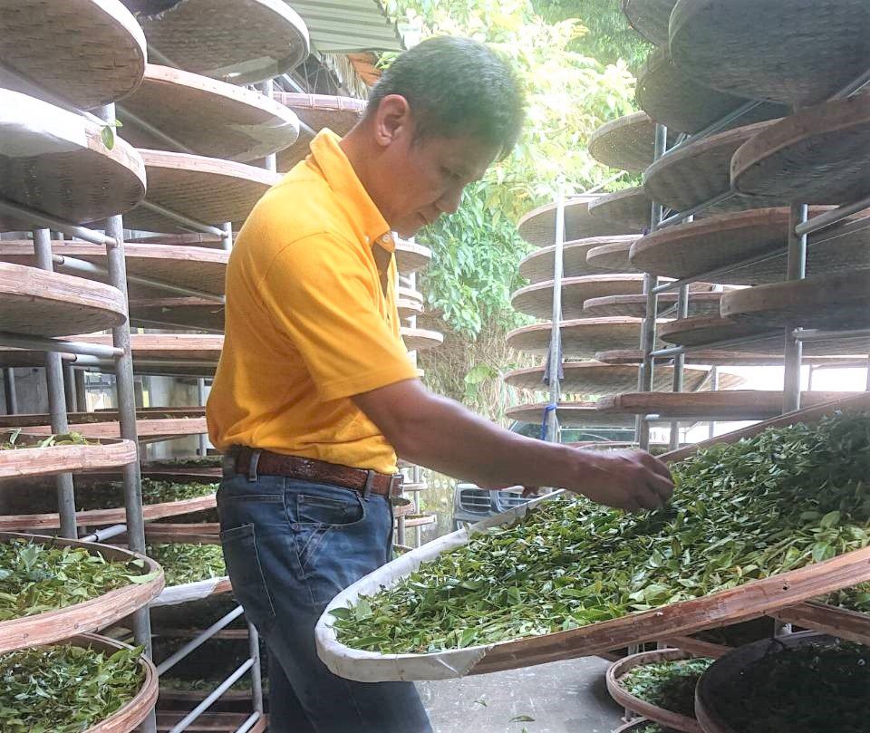 堅持職人精神   尋蜜堅持的味道   新北蜜香紅茶上市