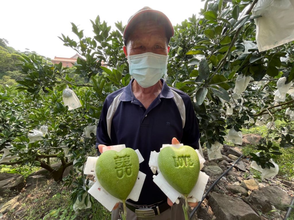 艸田八家農場場長黃阿發的心型柚,充滿愛意。