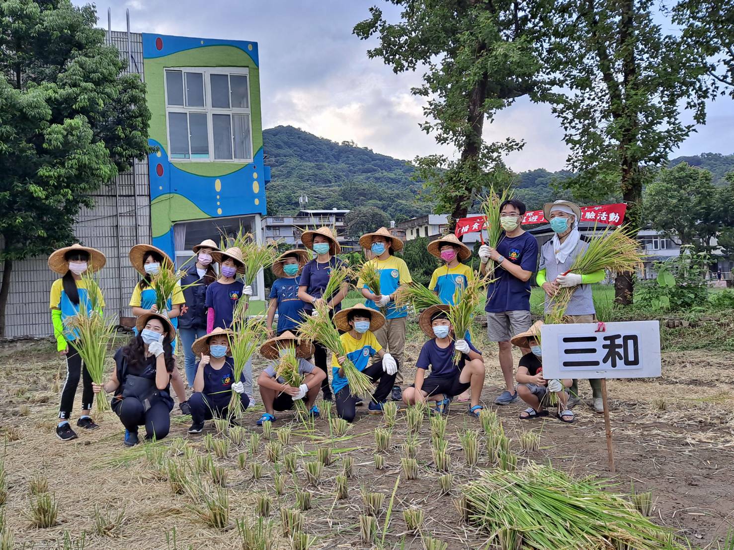 北海岸友善稻收割    縮短產地到餐桌的距離