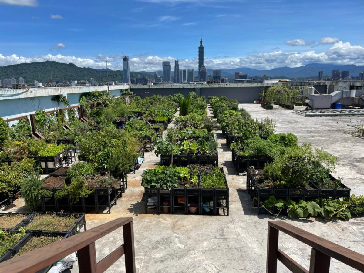 田園城市創造價值   有機食農教育園區及綠屋頂   發揮社區營造功能