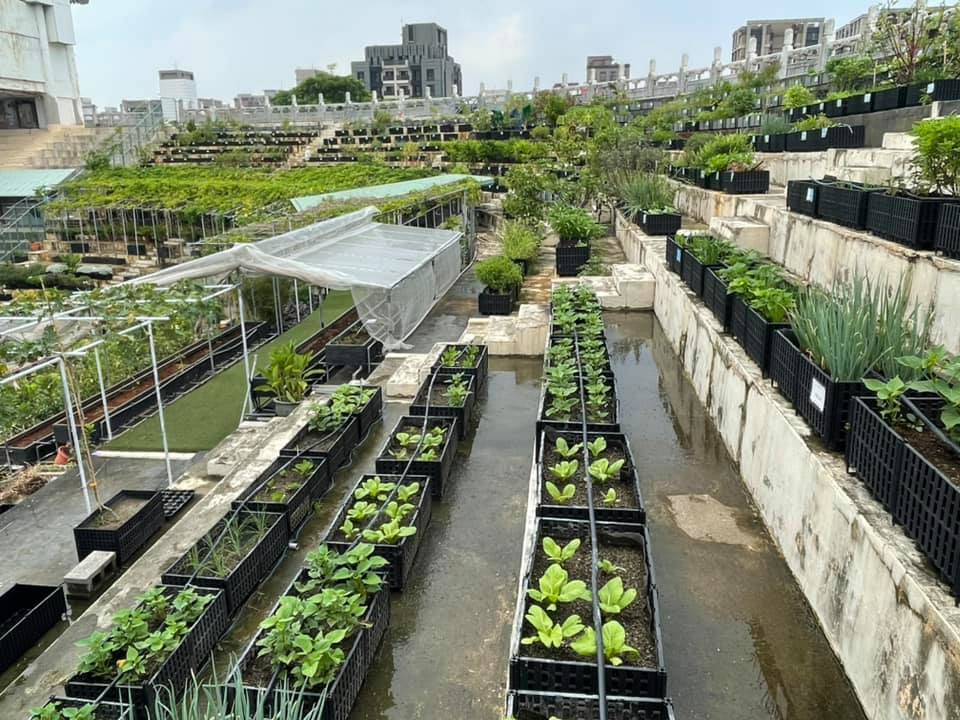 戶外綠屋頂智慧農場,在北市見成效。
